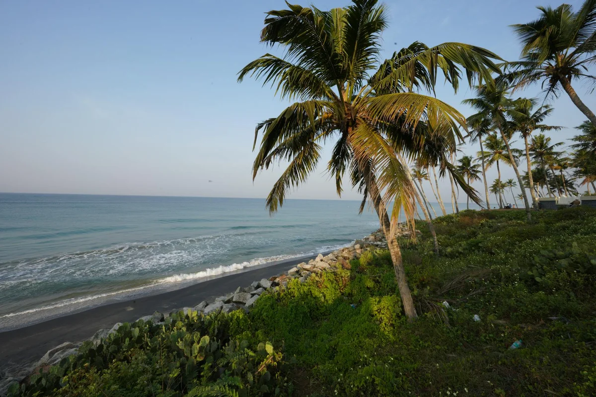 Basilica of Bom Jesus view 1