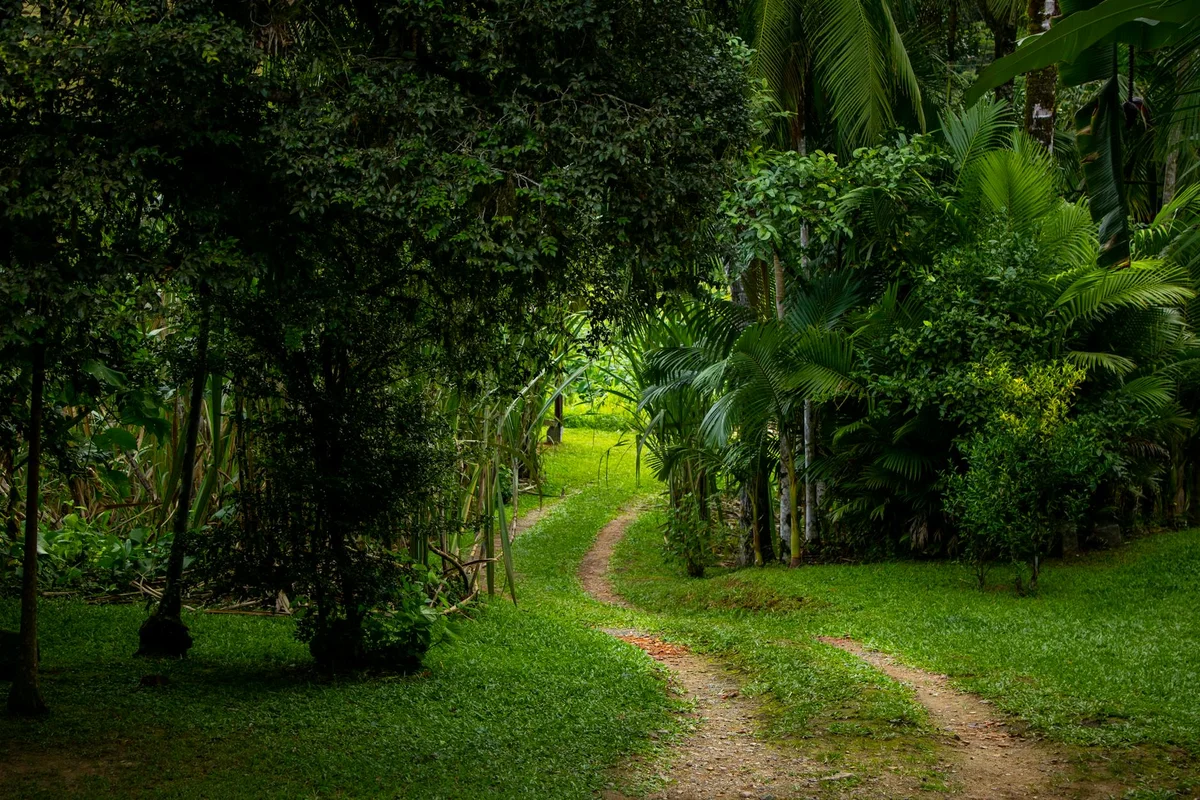 Sahakari Spice Farm view 2