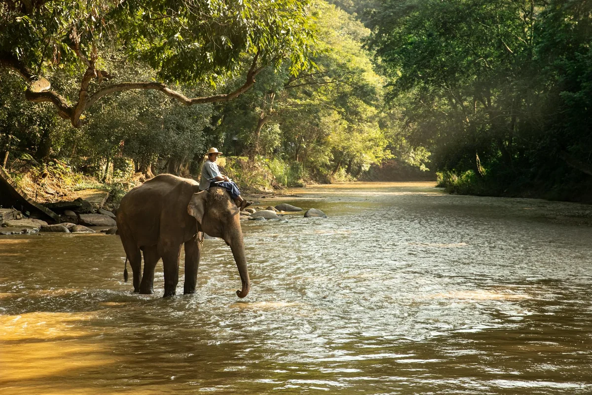 Sahakari Spice Farm feature