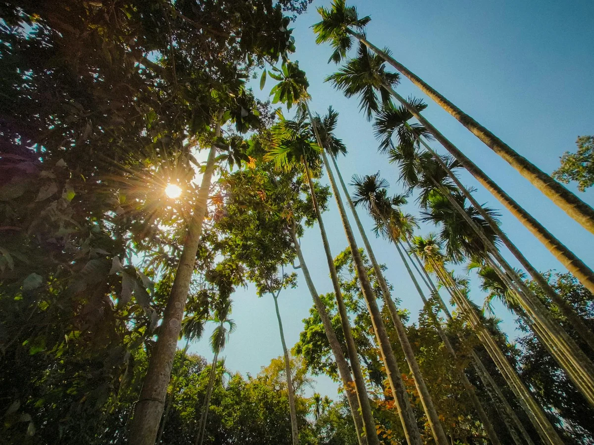 Sahakari Spice Farm view 1