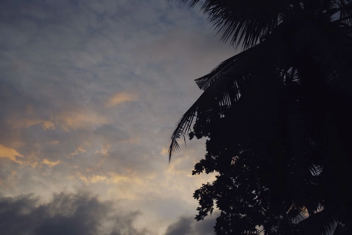 [object Object] view 2