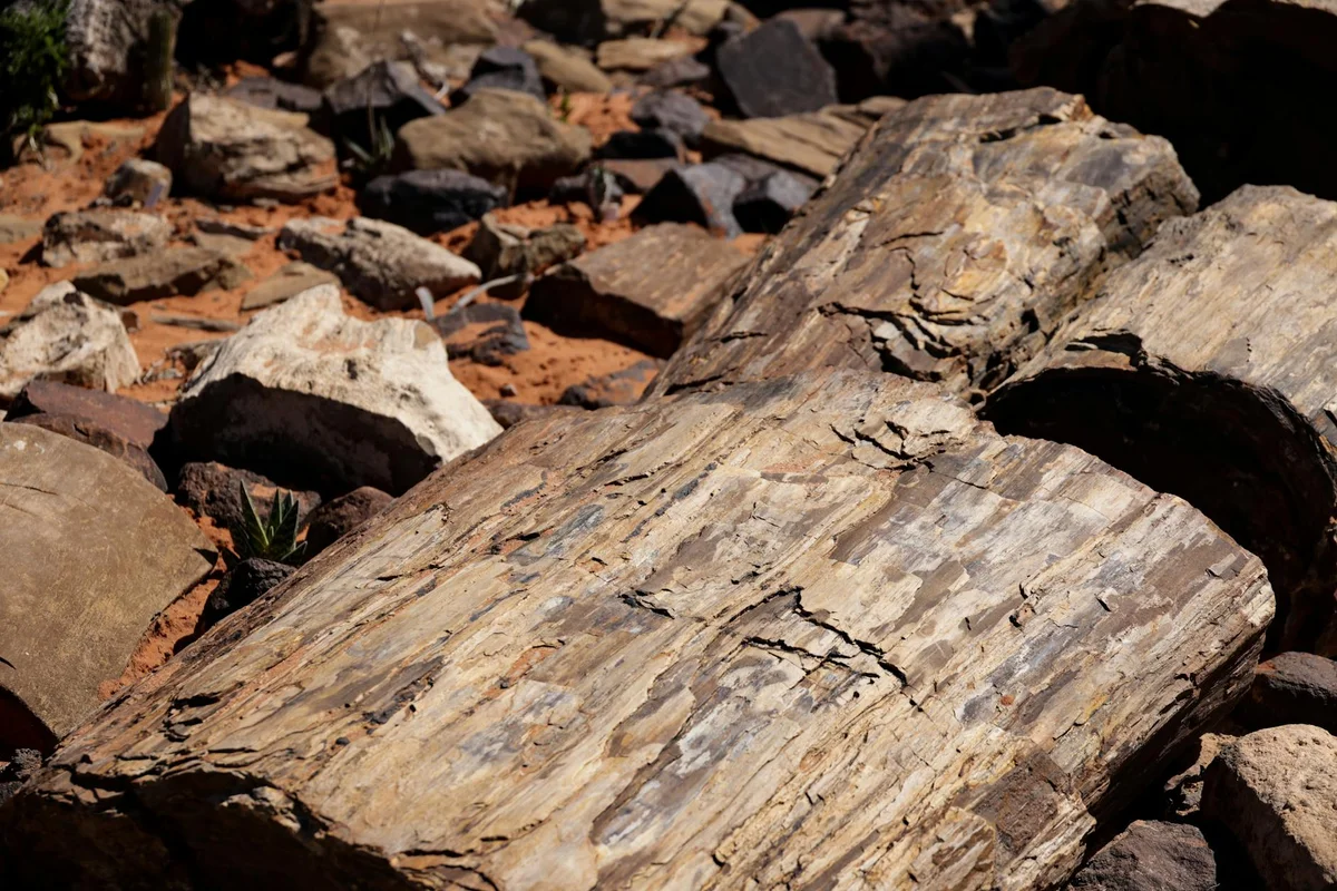 Bandung Geology Museum view 2