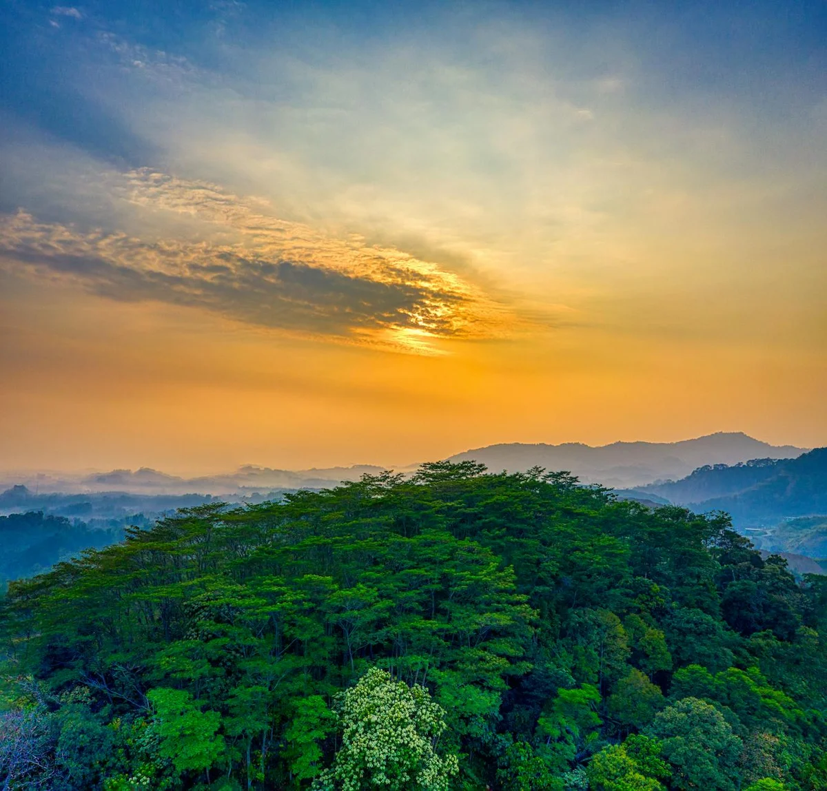 Bosscha Observatory view 2