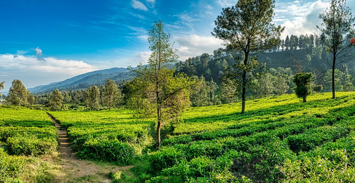 Sari Ater Hot Springs view 1