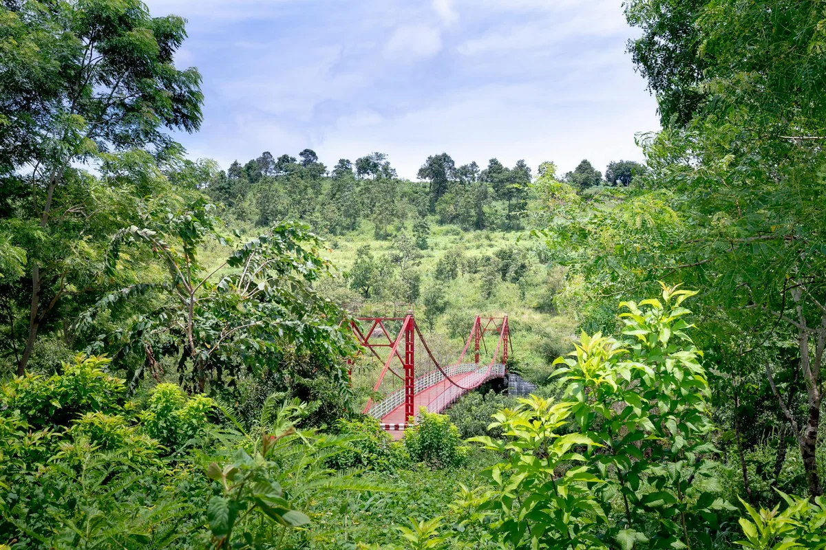 Djuanda Forest Park feature