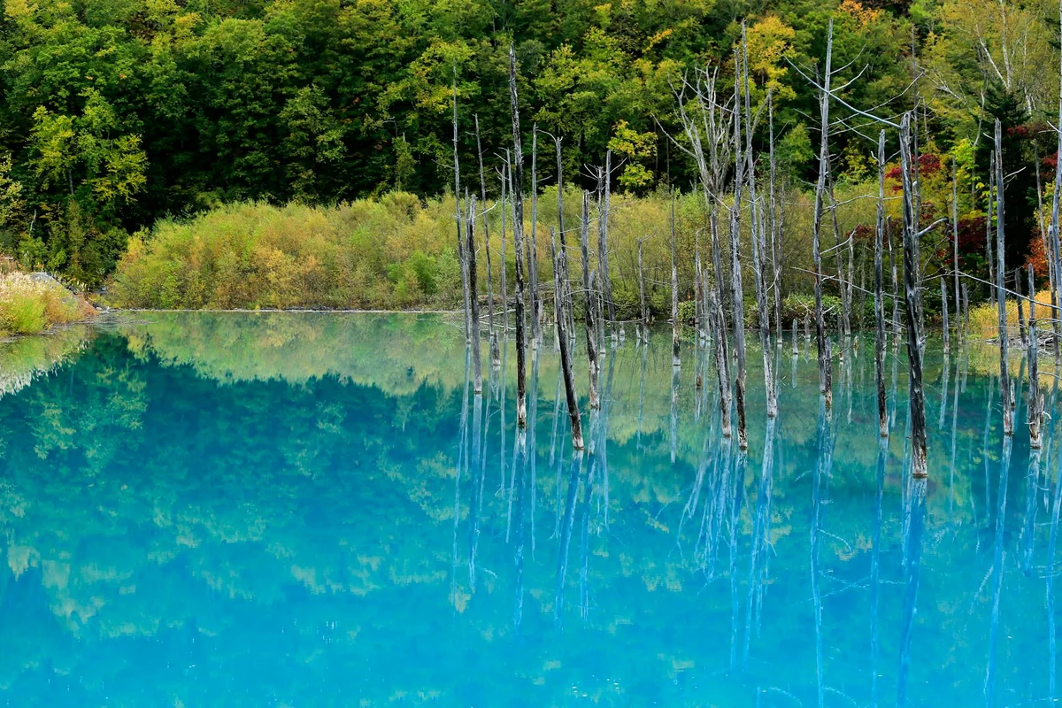 Kawah Putih Crater Lake view 2