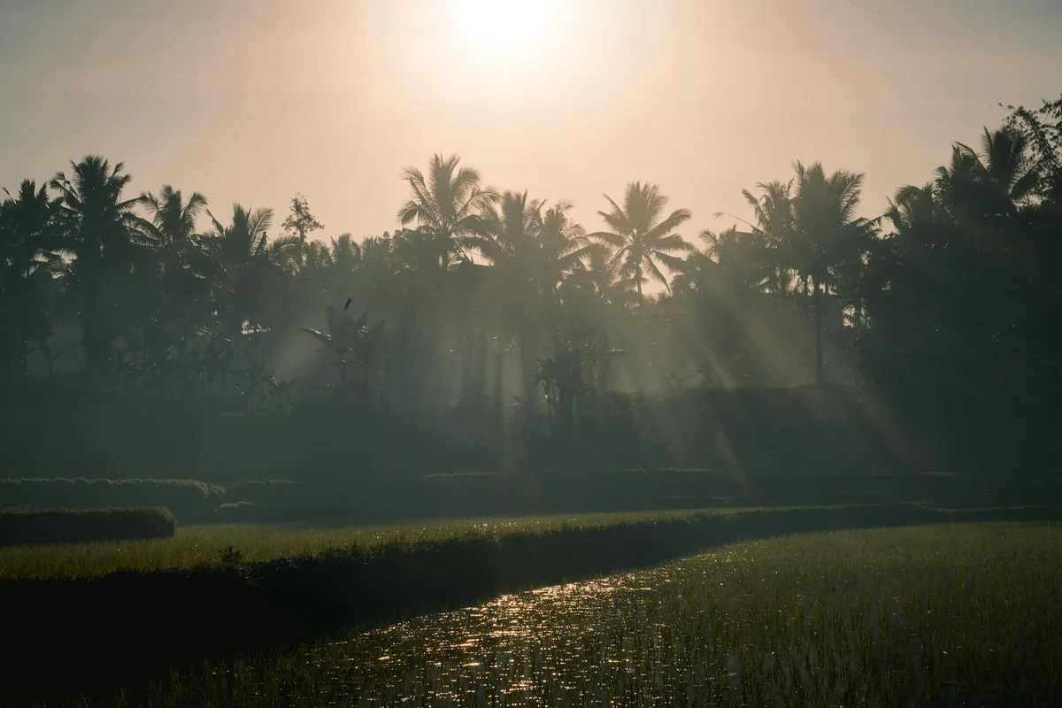 Benang Kelambu Waterfall view 2