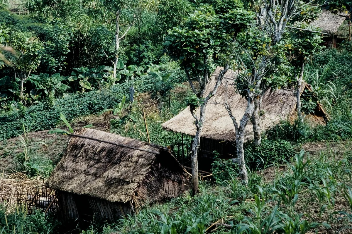 Sade Traditional Sasak Village view 2