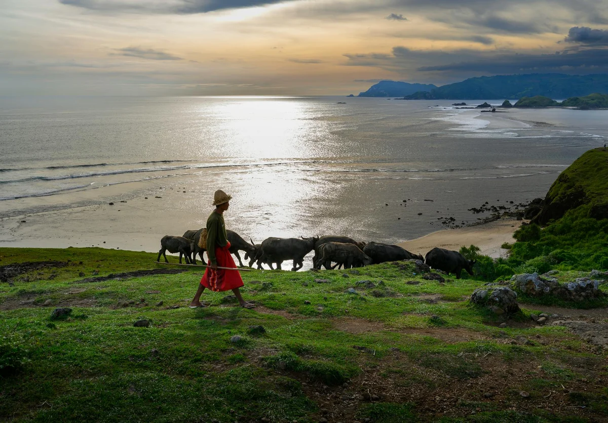 Selong Belanak Beach view 1