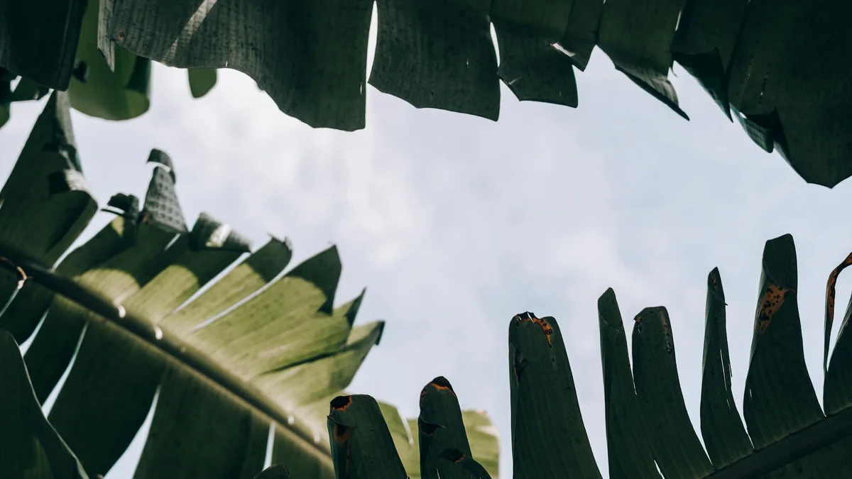 Affandi Museum view 2