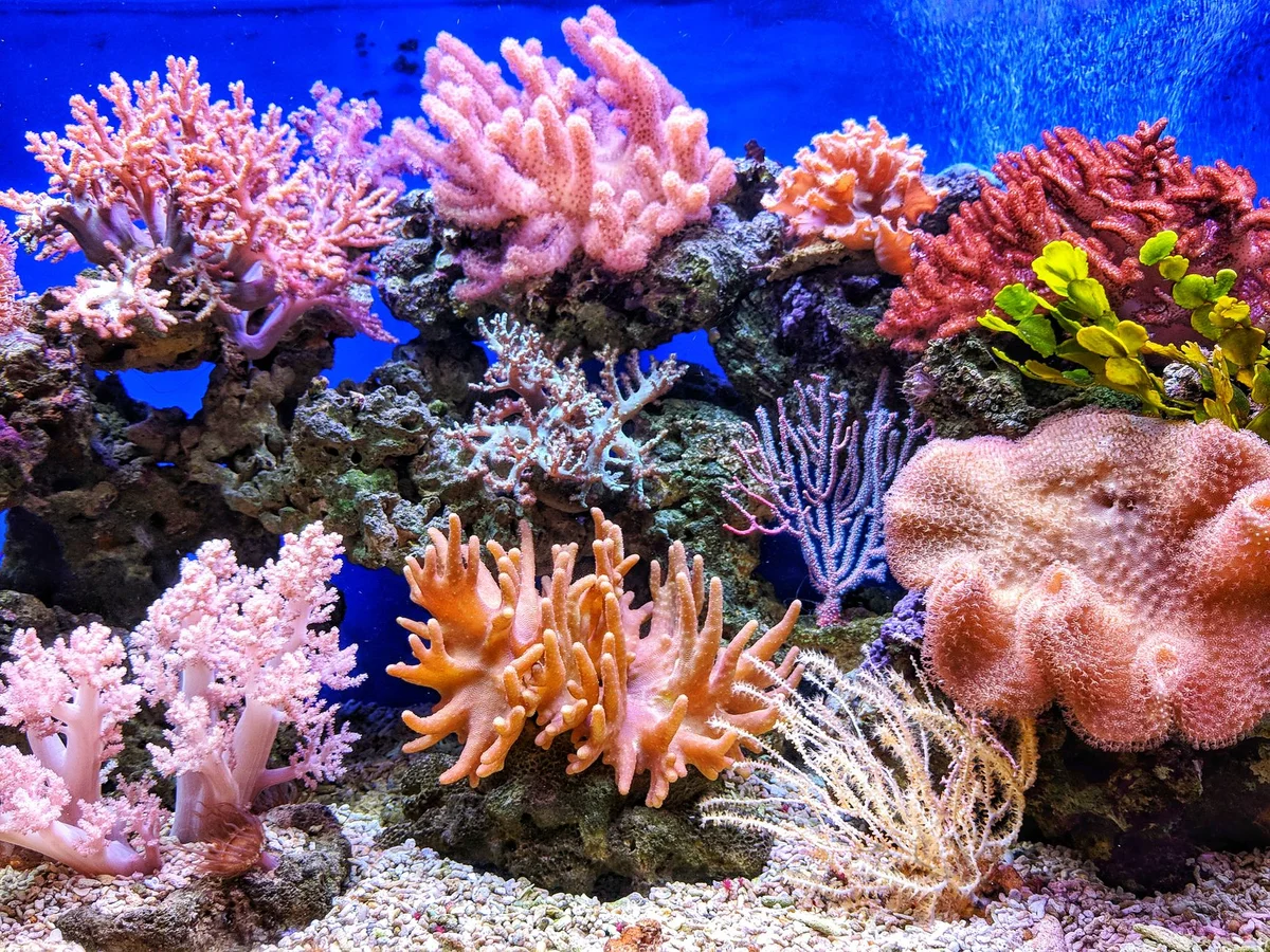 Sea World Ancol view 1
