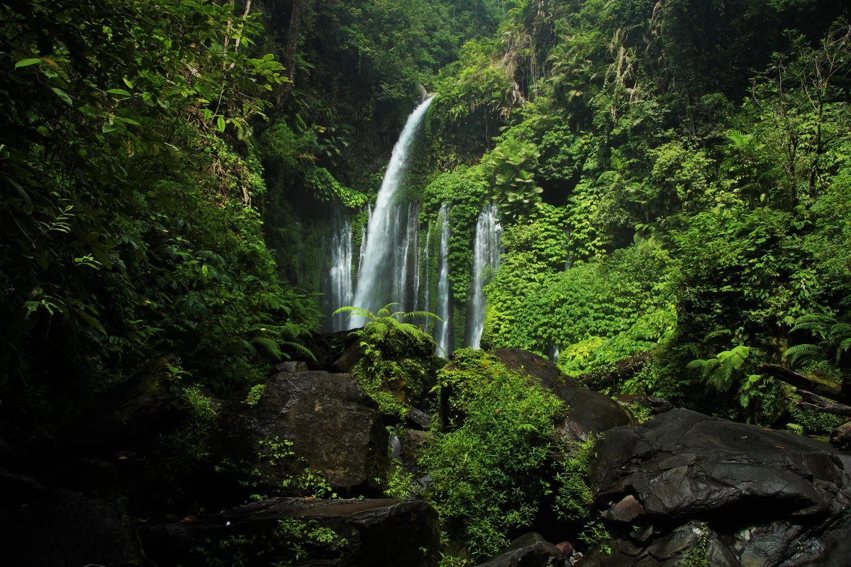 Sendang Gile Waterfall feature
