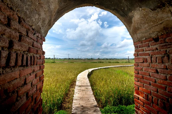 Kampung Current