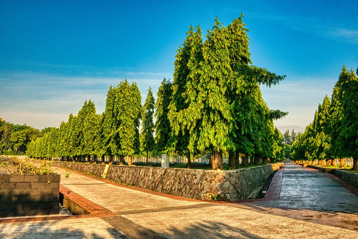 Taman Literasi Martha Christina Tiahahu view 2