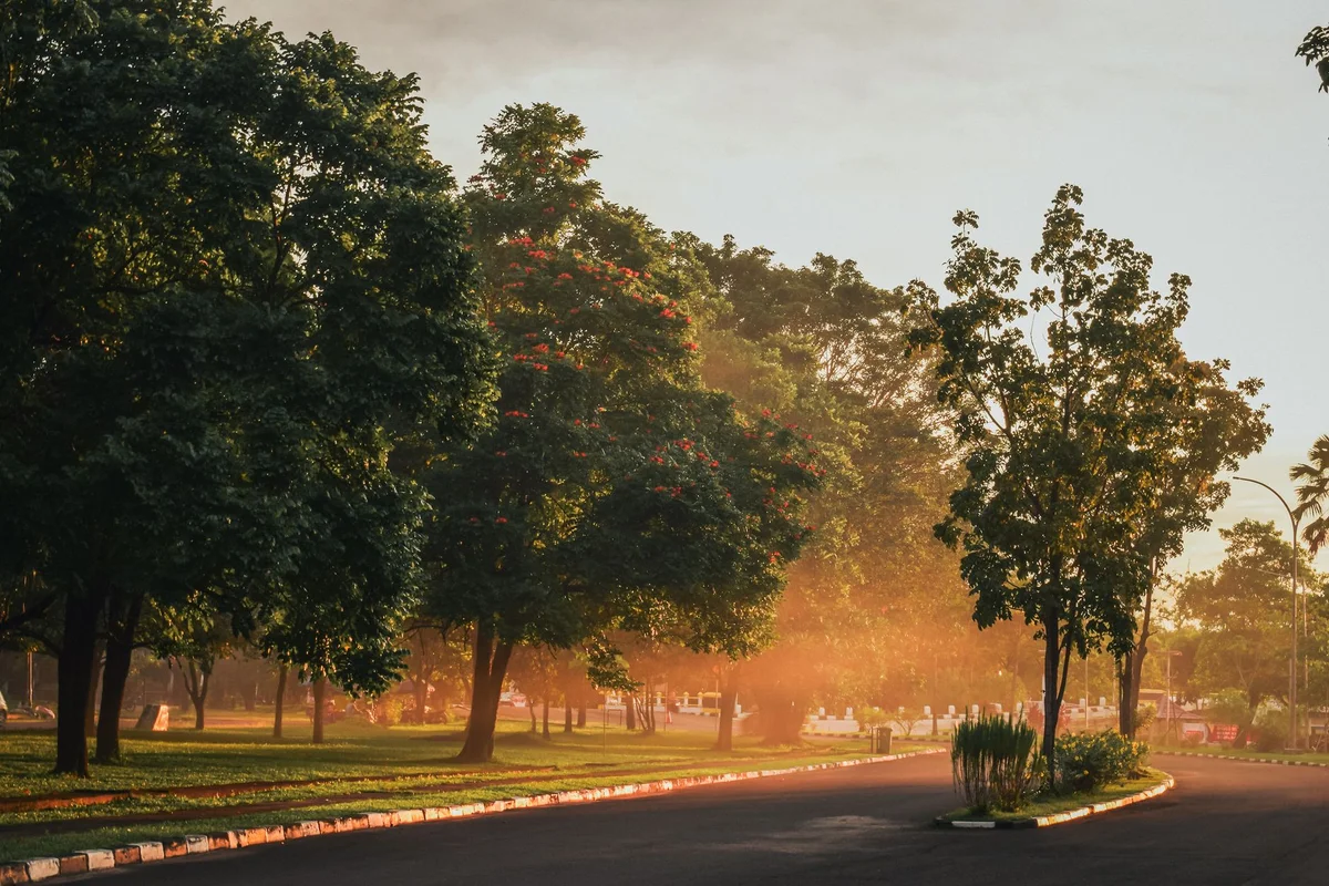 Taman Suropati view 1