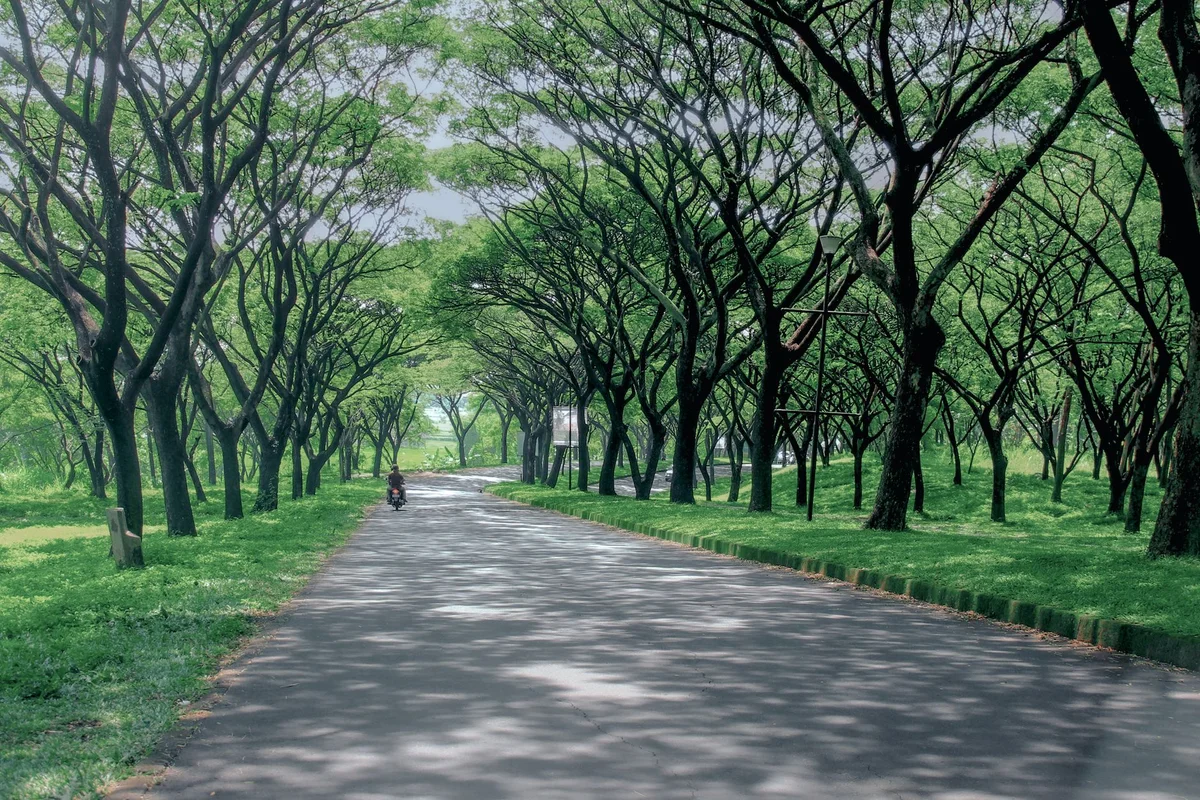 Taman Suropati view 2
