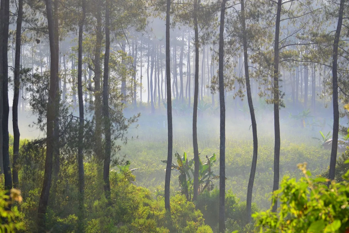 Tebing Keraton view 2