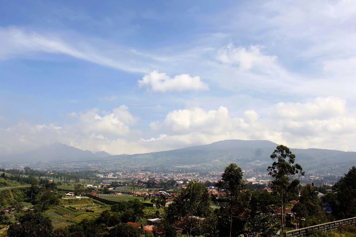Activity view 1
