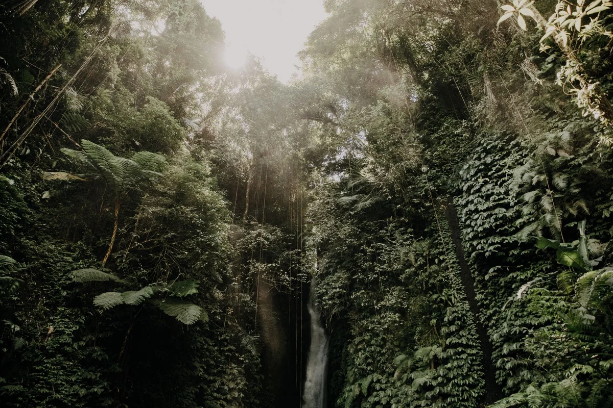 Tiu Kelep Waterfall feature