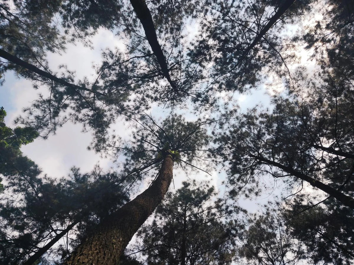 Cemoro Sewu Waterfall view 1
