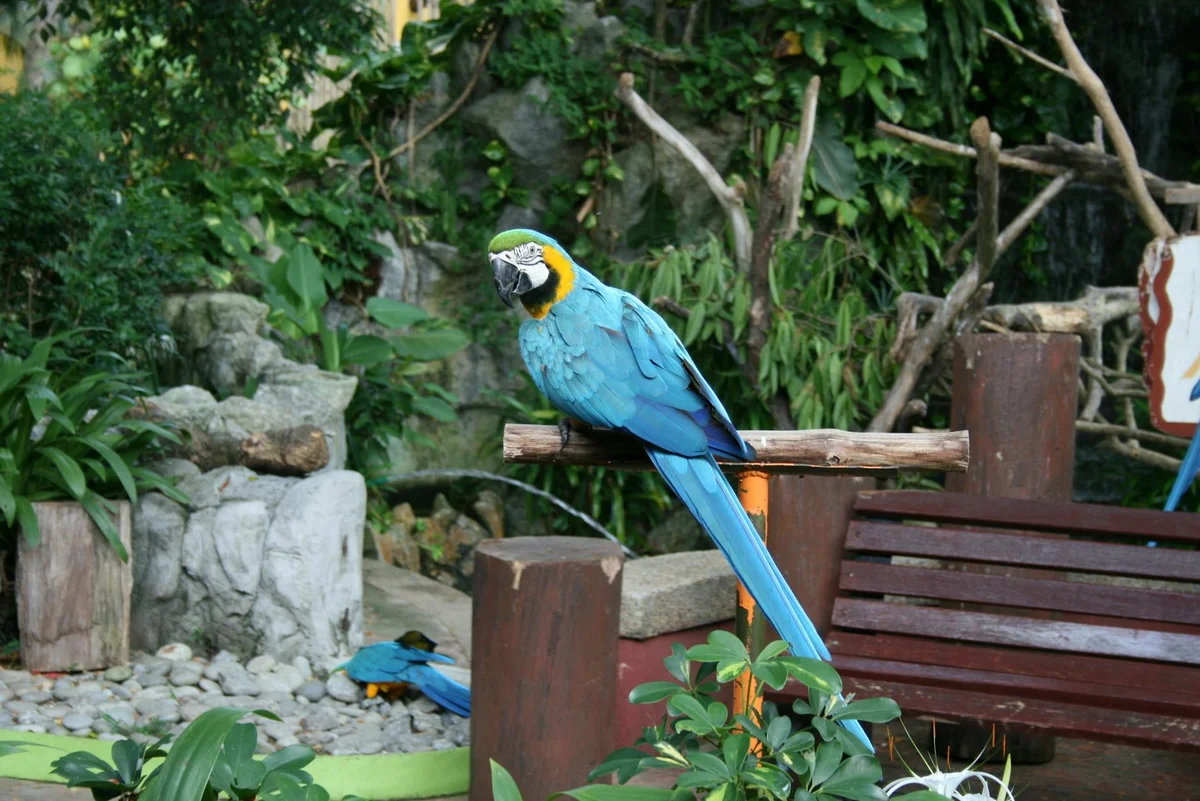 Gembira Loka Zoo view 1