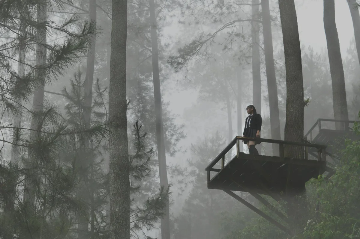 Wisata Alam Kalibiru view 2