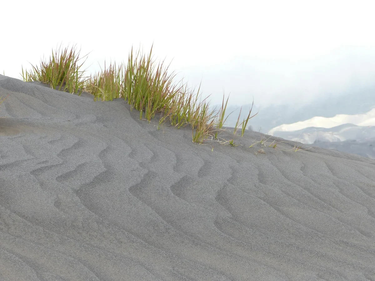 Parangtritis Beach view 2