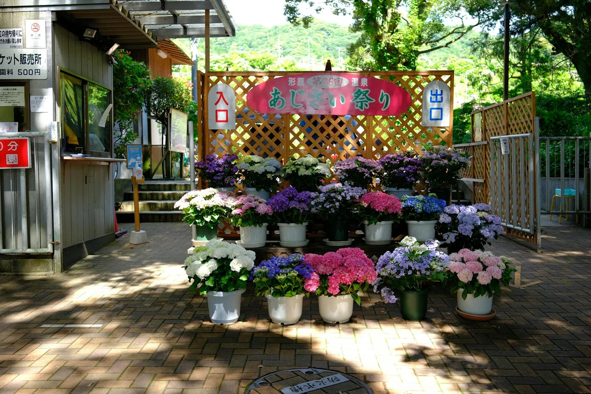Hakozaki-gu Shrine view 2