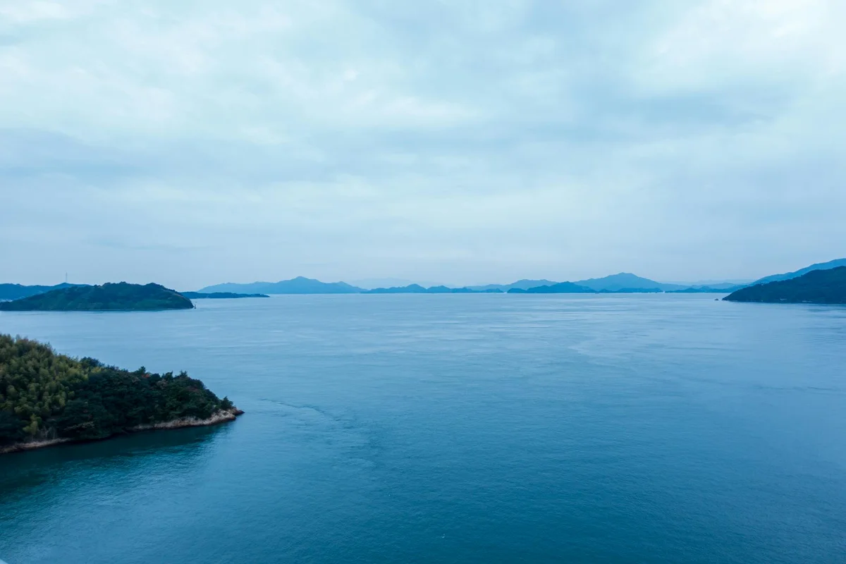 Hiroshima City Central Wholesale Market feature