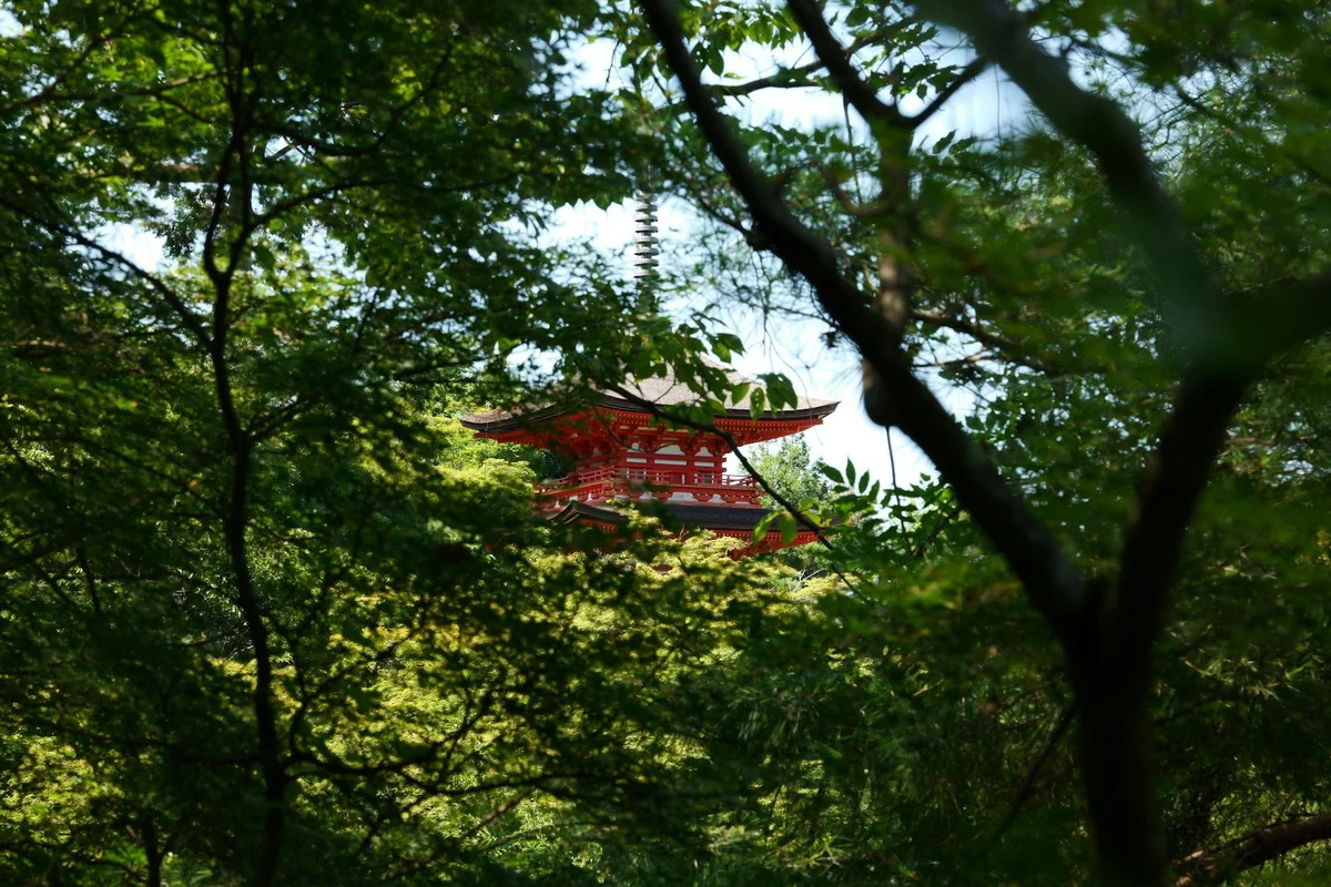 Mitaki-dera Temple feature