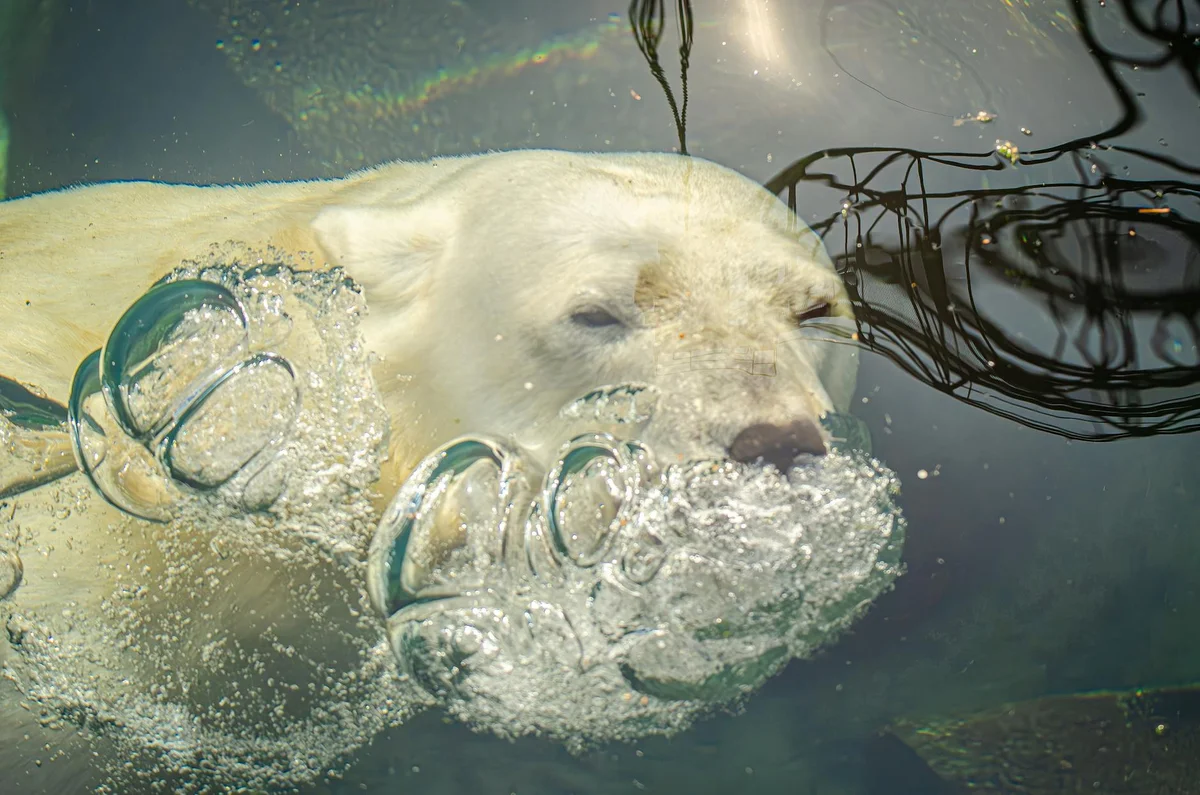 Asahiyama Zoo view 1