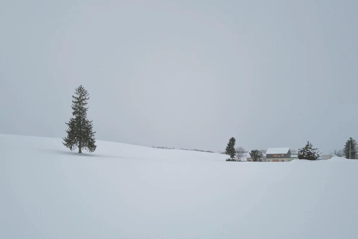 Biei Patchwork Road feature