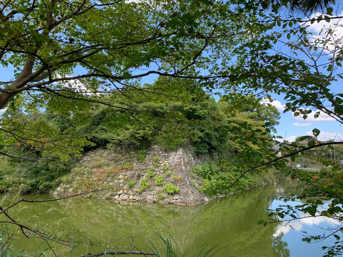 Goryokaku Fort view 2