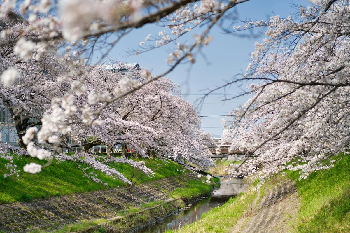 Goryokaku Fort feature