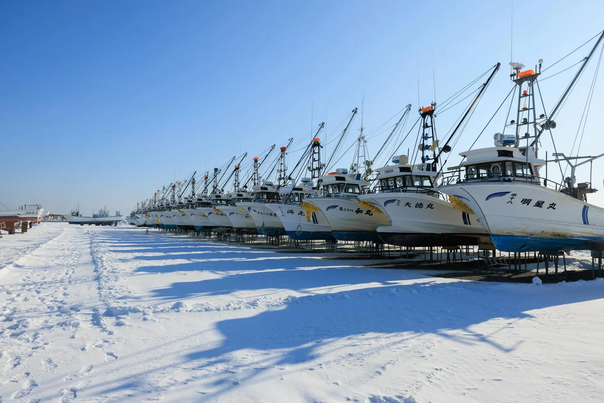 Mount Hakodate view 2