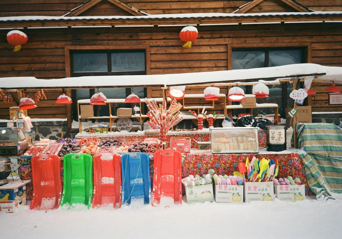Sapporo Central Wholesale Market feature