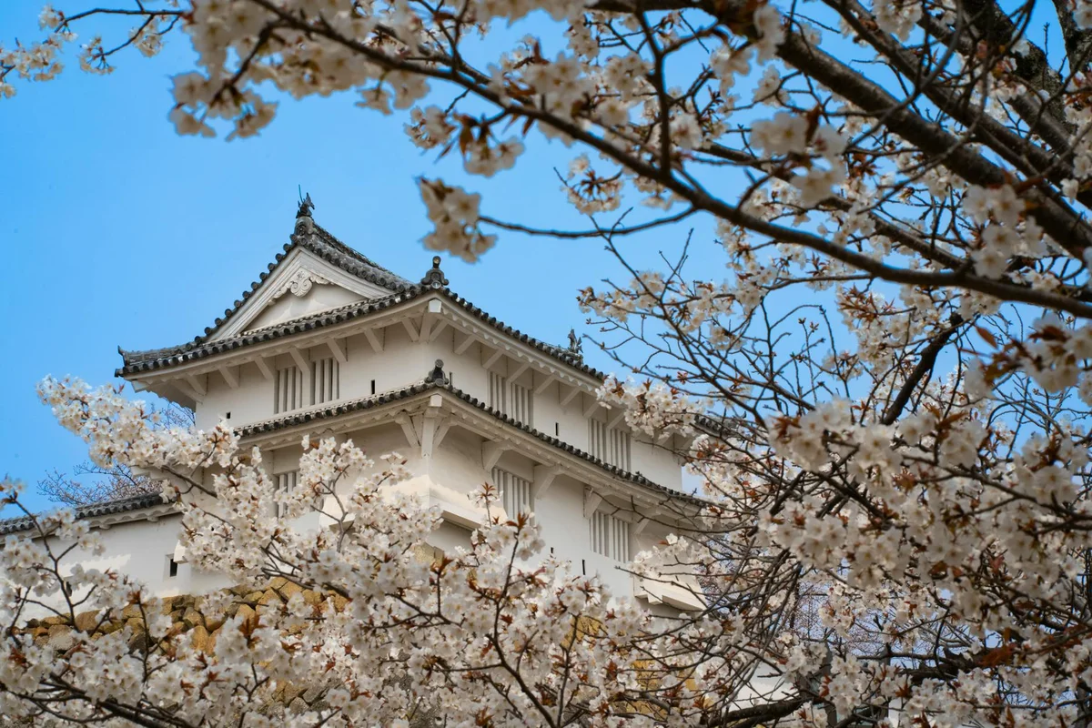 Kanazawa Castle feature