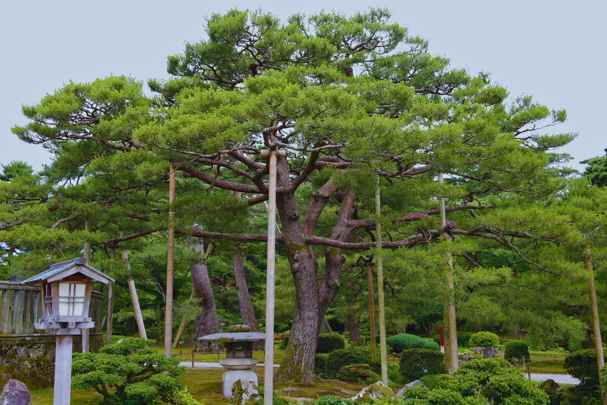 Kenrokuen Garden view 2