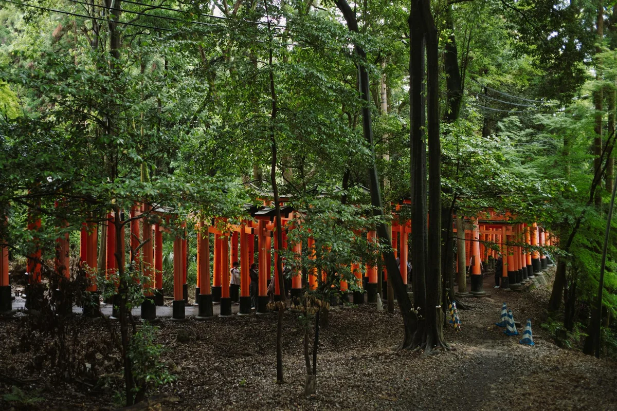 Fushimi Inari Taisha view 2