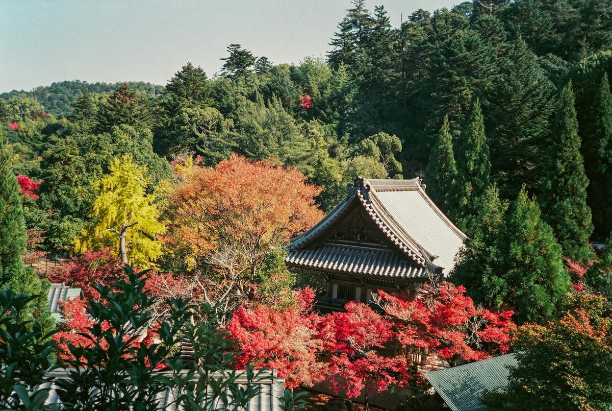 Heian Shrine feature