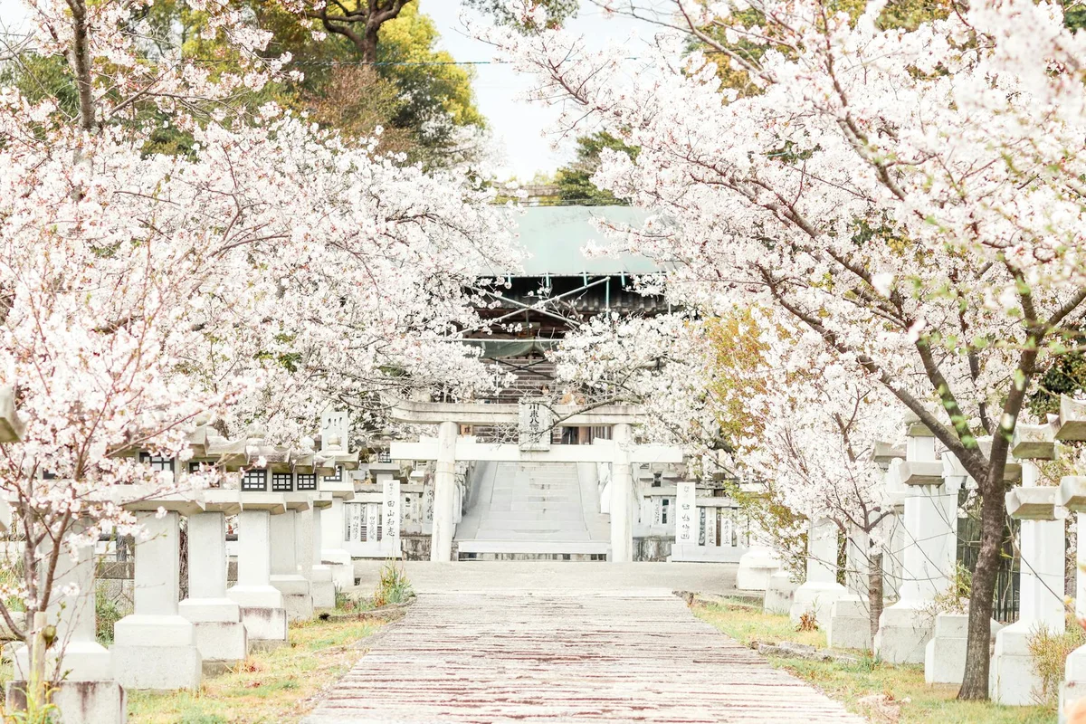 Kamigamo Shrine view 1