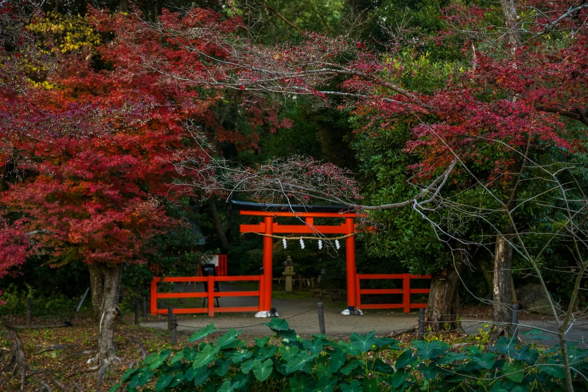 Kamigamo Shrine feature
