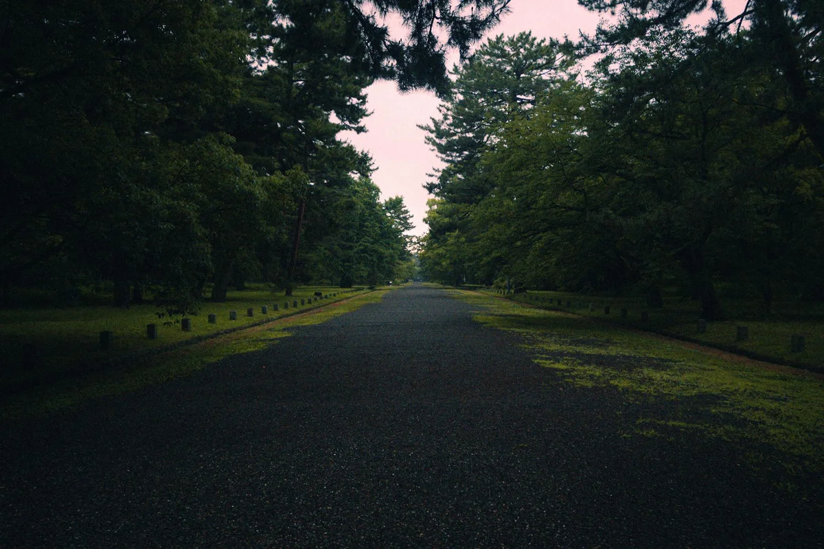 Kyoto Imperial Palace view 1