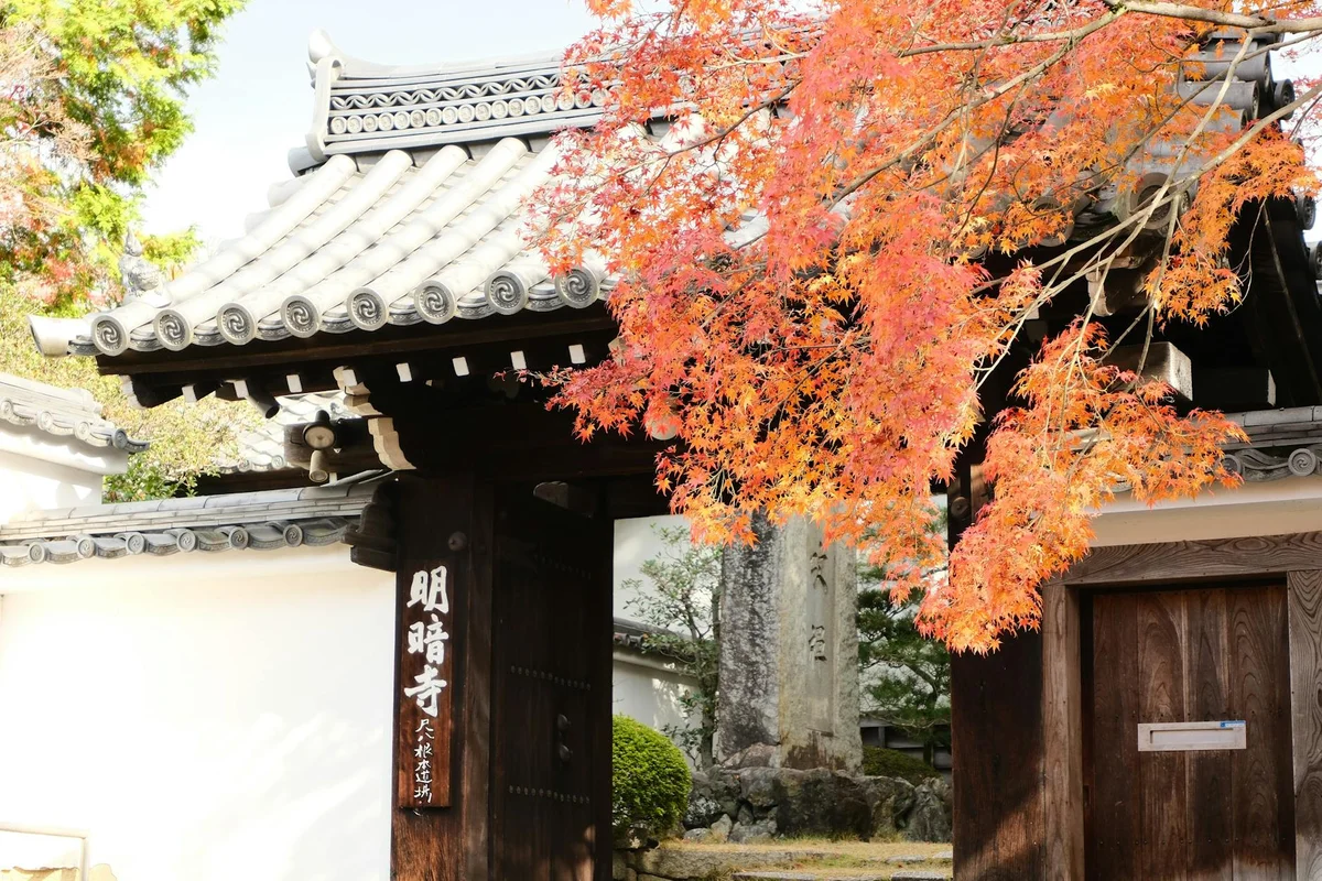 Myōshin-ji Temple feature