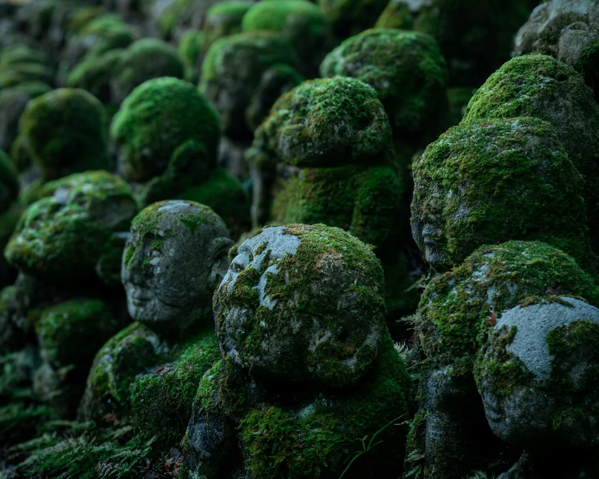 Sanzen-in Temple view 1