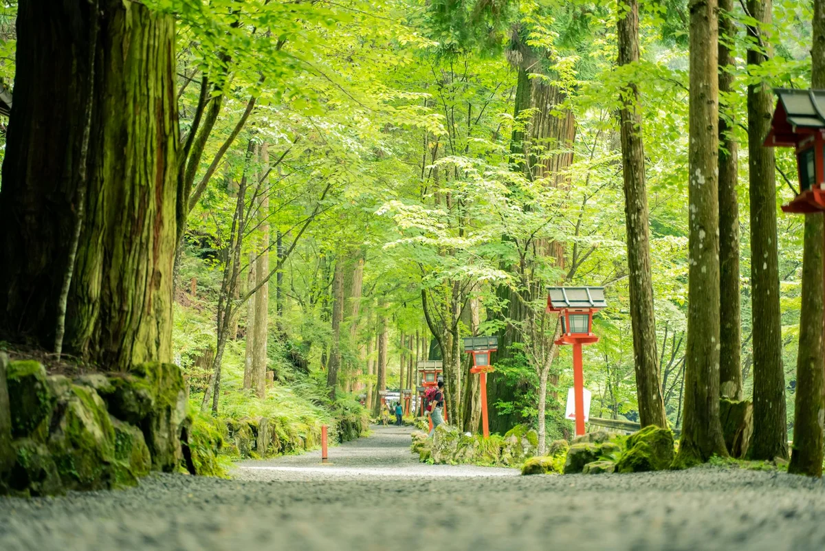 Shimogamo Shrine view 1