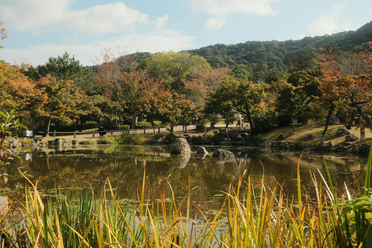 Tenryu-ji Temple feature