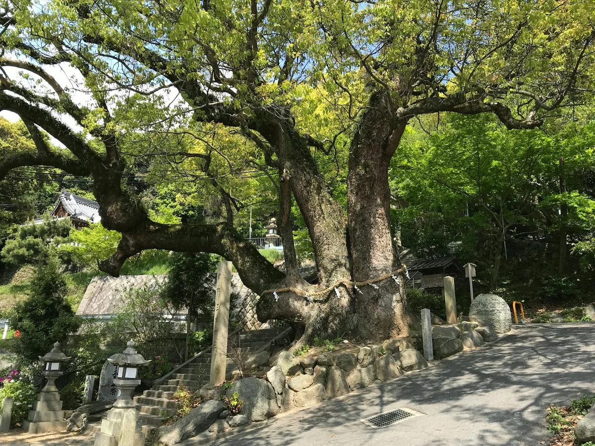 Atsuta Jingu Shrine view 2