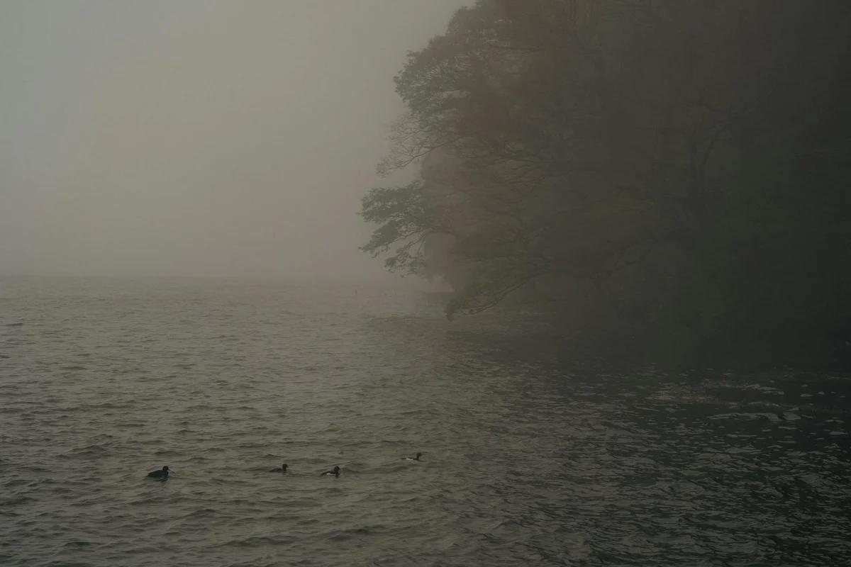 Horibata Park feature