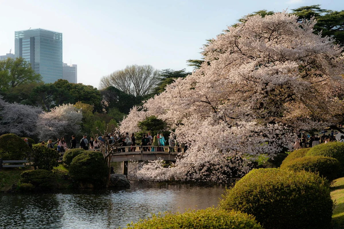 Horibata Park view 1